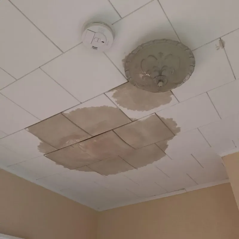 Ceiling Water Damage Repair in Spring Arbor, MI