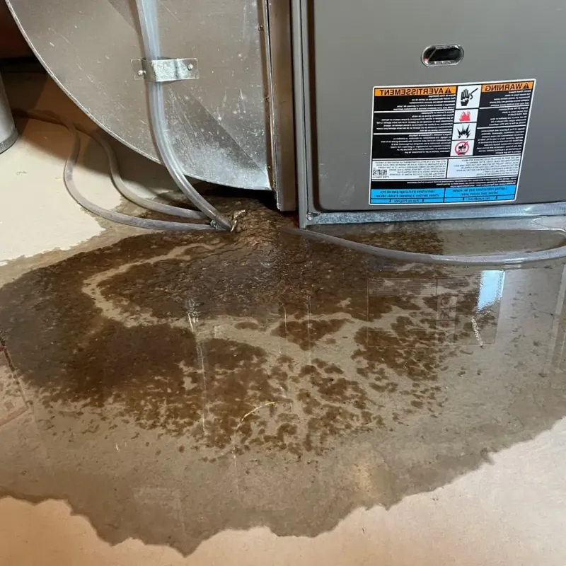 Pipe Burst and Leak Restoration in Spring Arbor, MI
