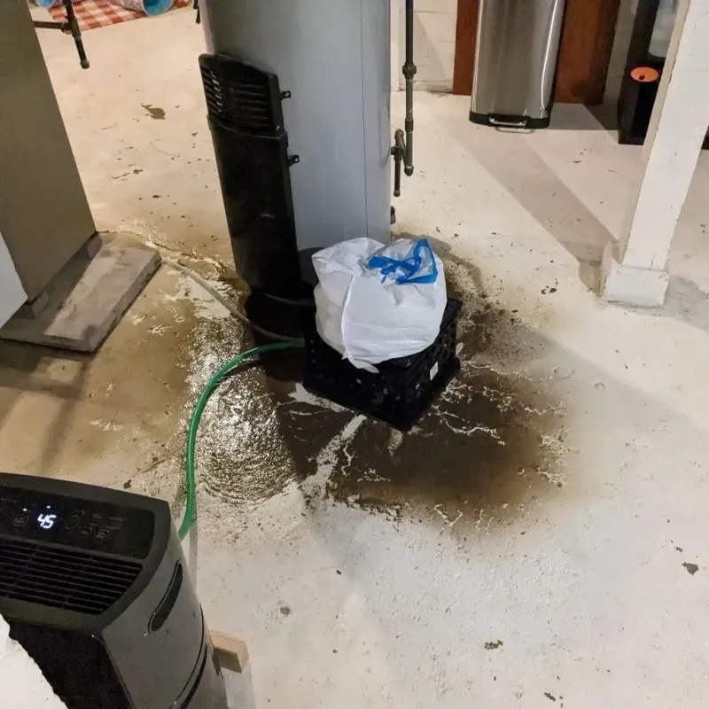 Sewage Backup Cleanup Service in Spring Arbor, MI
